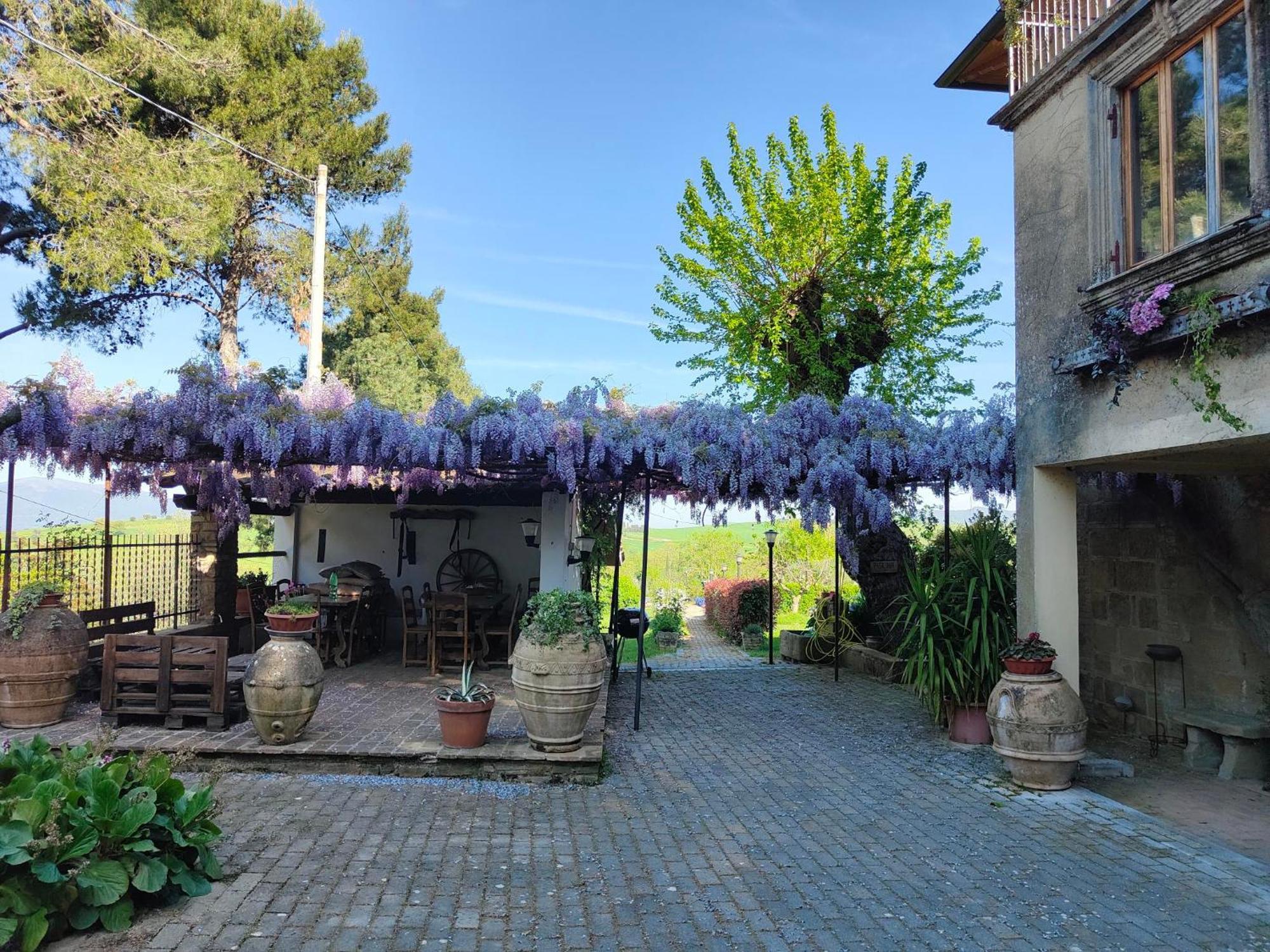 La Collina Di Pilonico Farm stay Pilonico Paterno